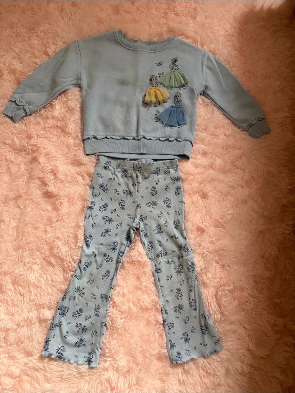 Disney Light Blue Princess Sweatshirt & Floral Set